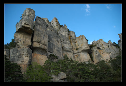 Les gorges de la Jonte